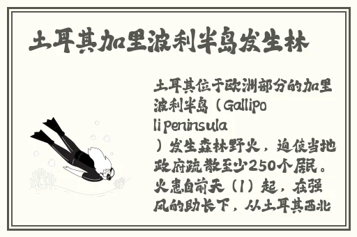 b站推广网站2024下载